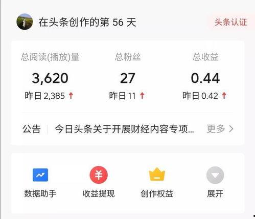 深圳今日头条最新收益,最新收益数据揭示惊人增长态势