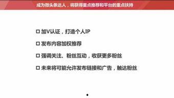 今日头条日更文章推荐,揭秘热门文章推荐背后的秘密
