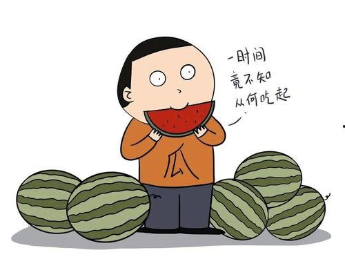 吃瓜的人都去哪里了,探寻吃瓜群众消失之谜