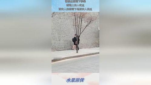 吃瓜短句墙,趣味横生的日常瞬间