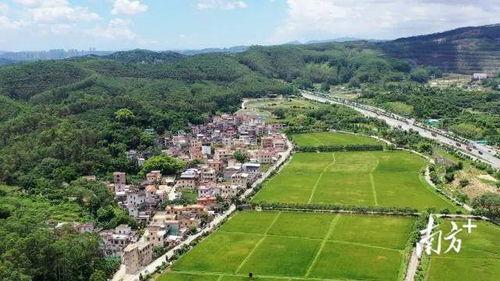 江门五洞网红村,探寻岭南风情与现代潮流的完美融合