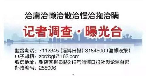 山东淄博双泉新闻头条,聚焦乡村振兴，共绘美丽乡村新画卷