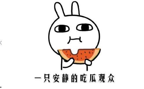 快手网红吃瓜事件,揭秘网络舆论背后的真相与争议