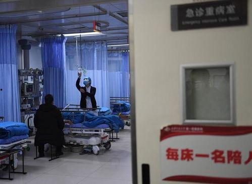 成都医院急诊吃瓜,一场“吃瓜群众”的围观奇观