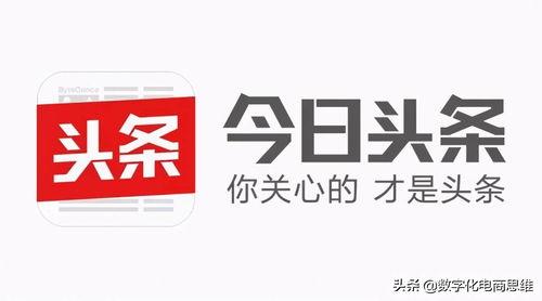 自媒体头条创业者资讯,揭秘创业者资讯背后的商业机遇