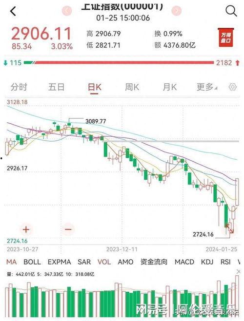 胡网红,网络红人的崛起与影响力