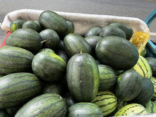 喜欢吃瓜的地方,探寻各地瓜果美食之旅
