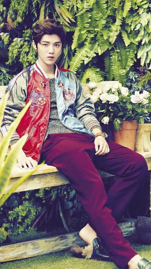 明星石翔图片,星光熠熠，魅力四射的明星风采