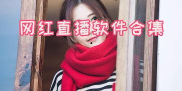 网红合集下载,揭秘热门网红背后的故事与魅力