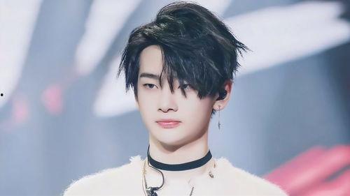 湖北建南的明星,璀璨星河中的璀璨明珠