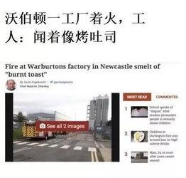 今日外网爆料新闻直播,今日热点新闻回顾